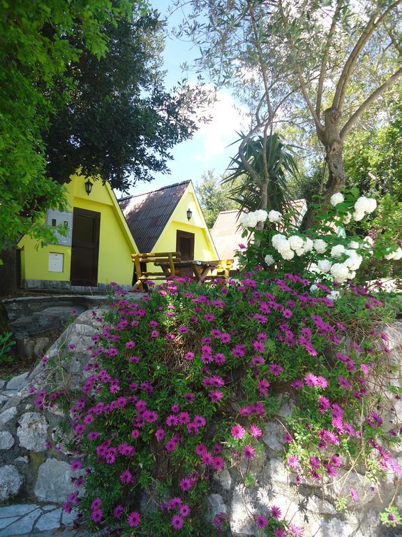 Apartments And Bungalows Mimoza Baosici Herceg Novi Exteriör bild