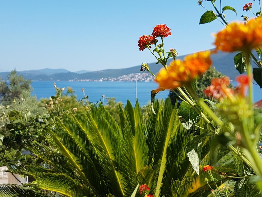 Apartments And Bungalows Mimoza Baosici Herceg Novi Exteriör bild